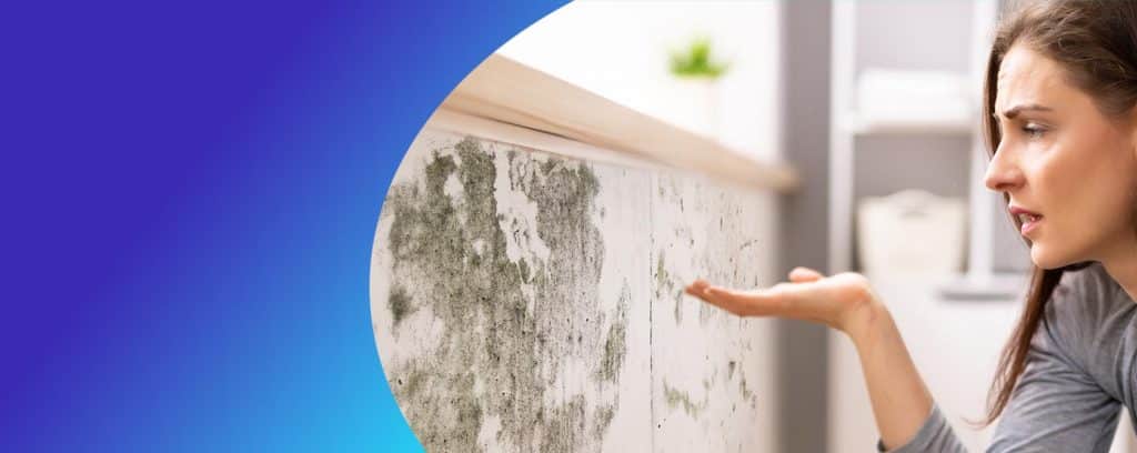 Mold Inspection in Calgary