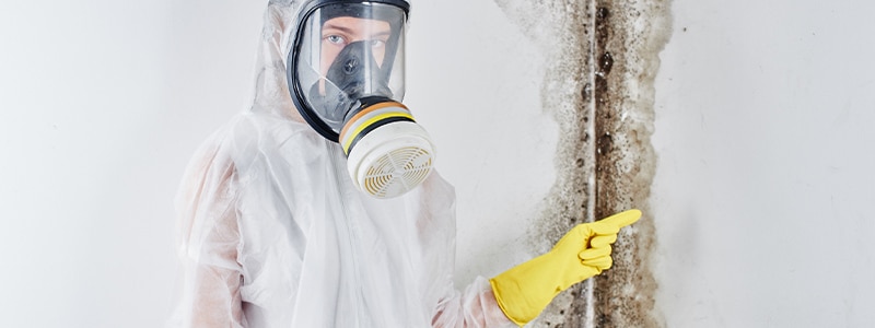 Mold Removal Airdrie